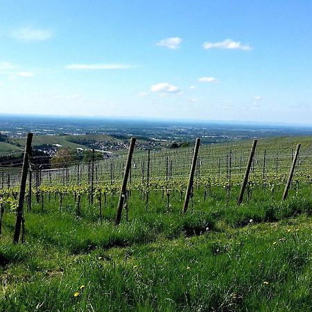 Ferienhof Vordere Alm Oberkirch  Esterno foto