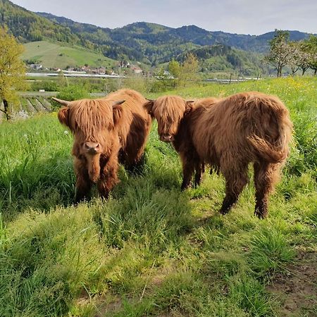 Ferienhof Vordere Alm Oberkirch  Esterno foto