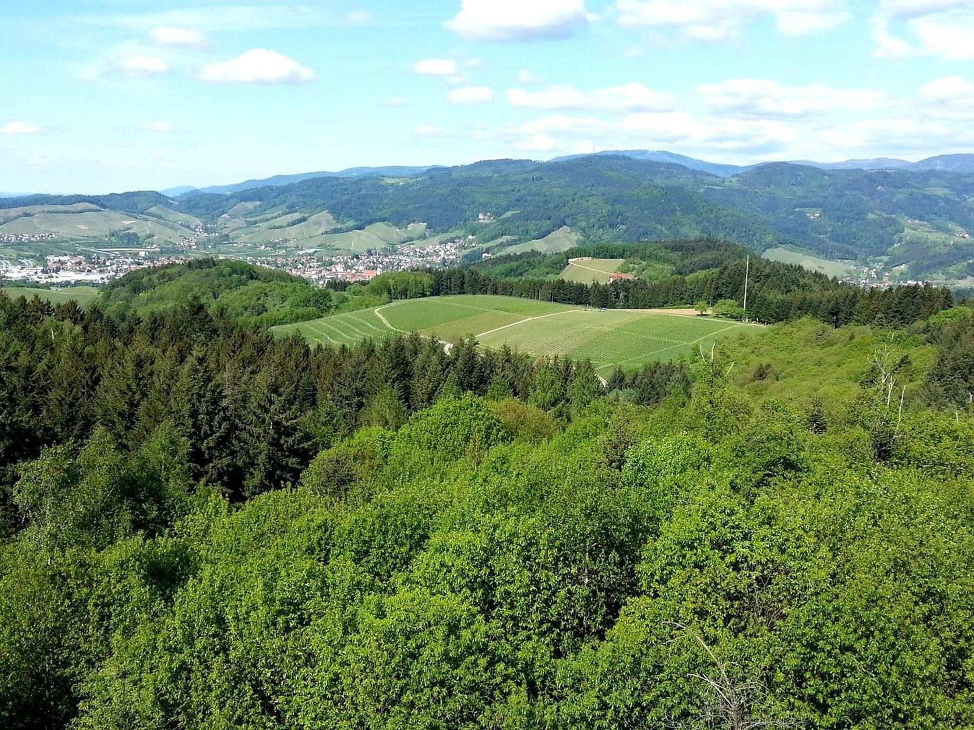 Ferienhof Vordere Alm Oberkirch  Esterno foto