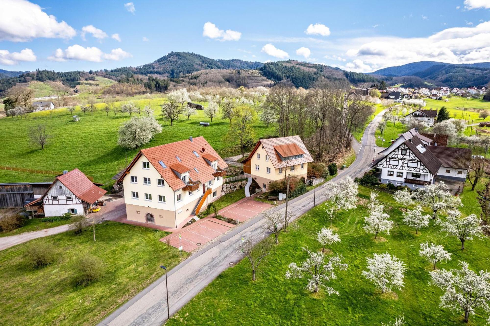 Ferienhof Vordere Alm Oberkirch  Esterno foto