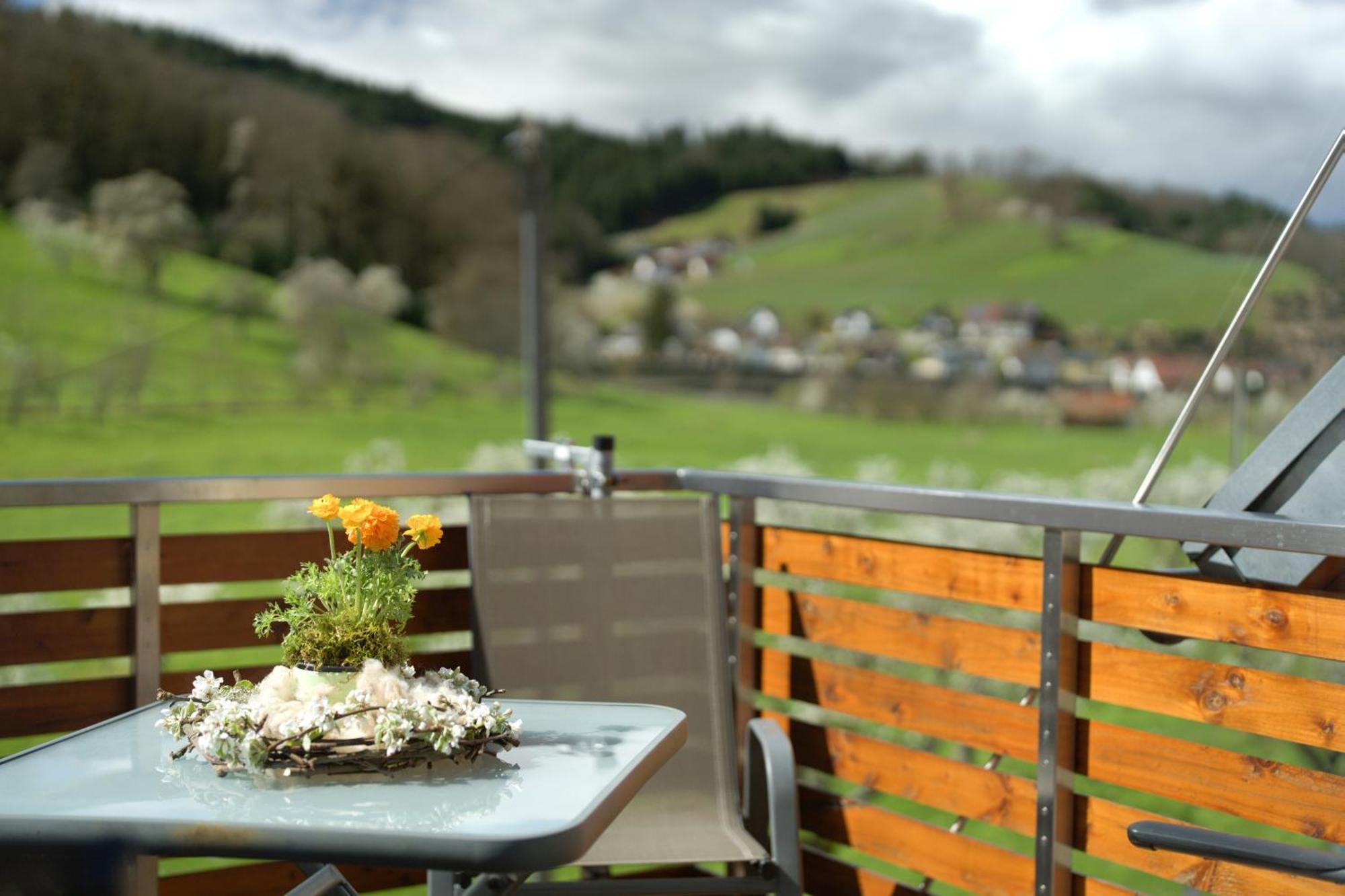 Ferienhof Vordere Alm Oberkirch  Esterno foto