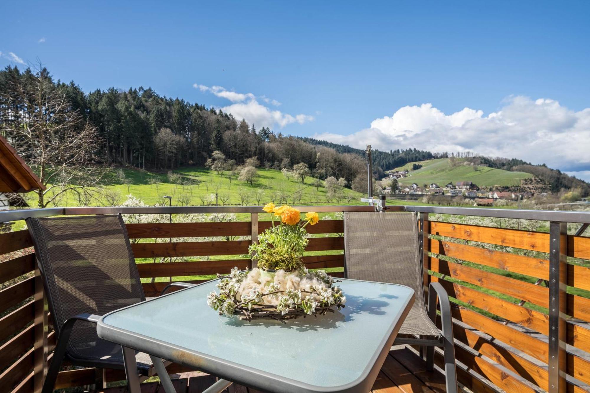 Ferienhof Vordere Alm Oberkirch  Esterno foto